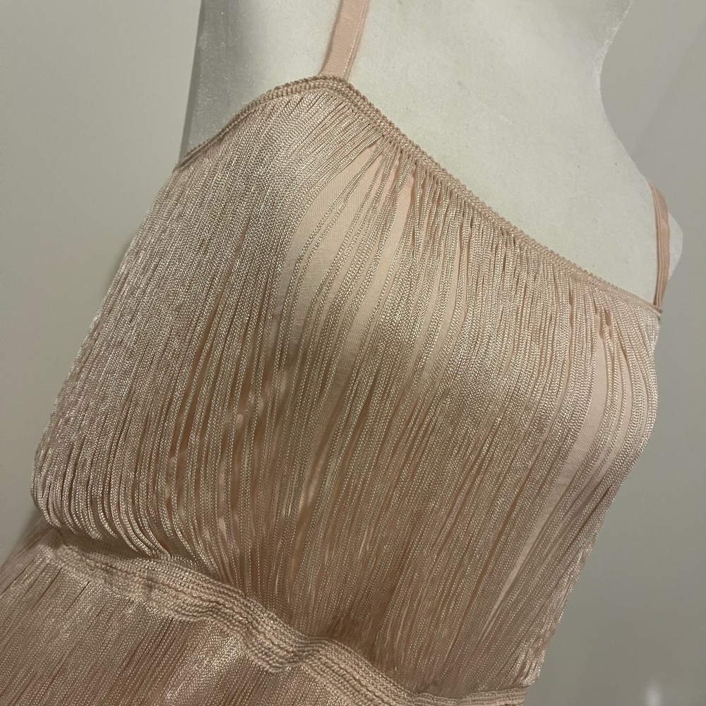 GIVING GATSBY - ROARING 20s FLAPPER GIRL DRESS